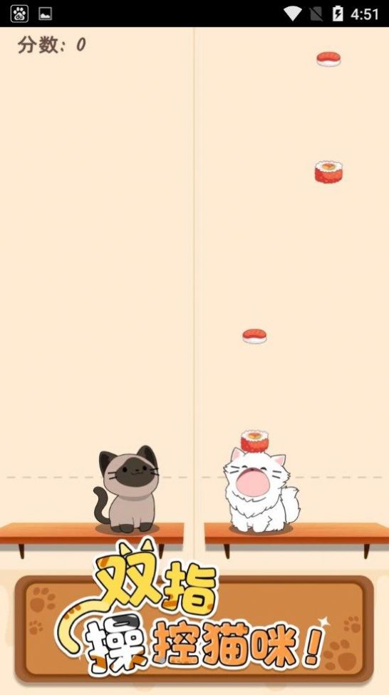 猫咪喵喵喵图3