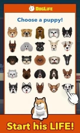 狗狗的一生app图3