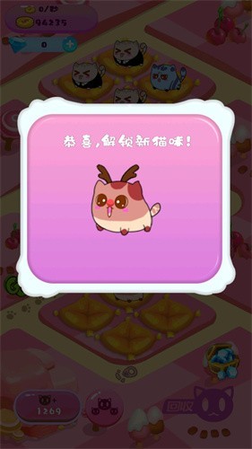 梦幻弹跳 梦幻弹跳