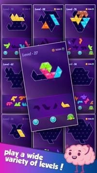 Block! Triangle Puzzle图2