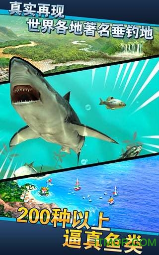 钓鱼发烧友Ace Fishing手机版图1