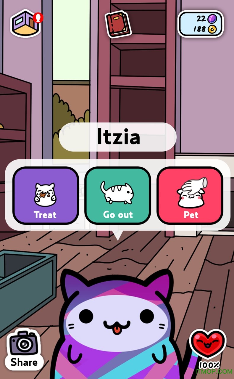 小偷猫
