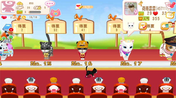 晴天小猫 晴天小猫