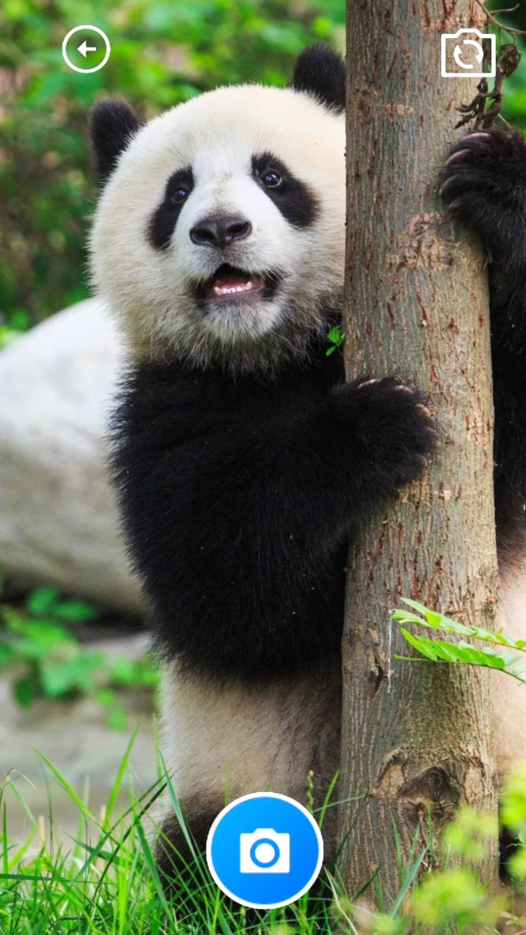 小精灵百宝箱图3