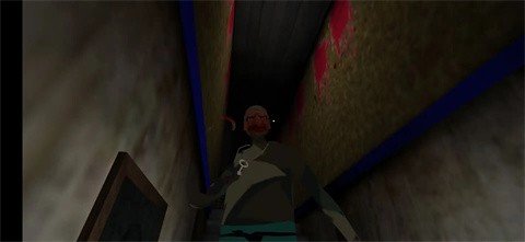 双胞胎奶奶2