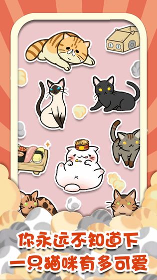 _猫咪杂货物语 _猫咪杂货物语
