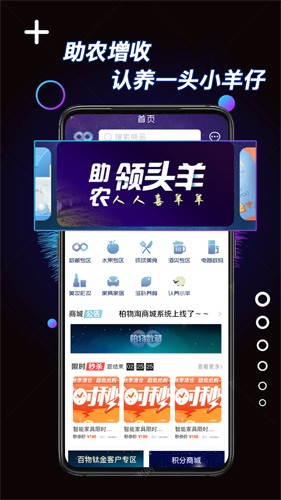 柏物淘图2