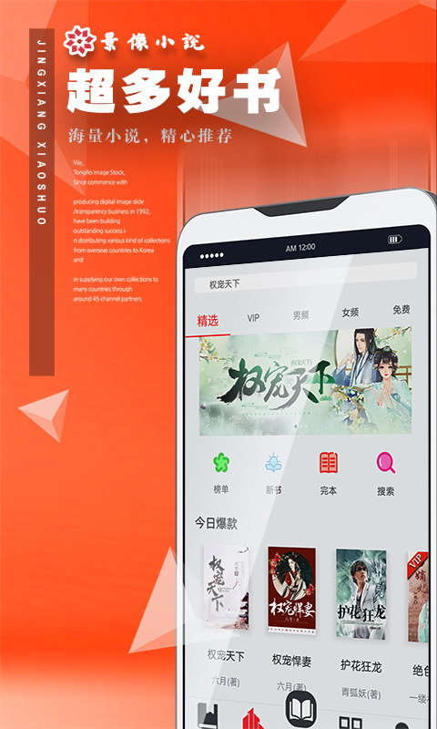 景像小说图1