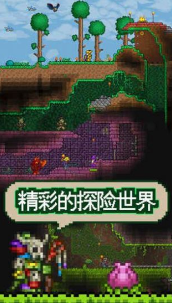 泰拉瑞亚极性mod