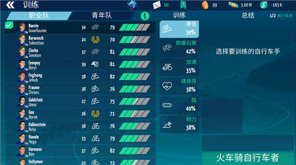 真实自行车队经理