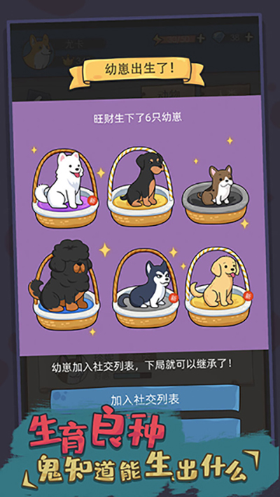 狗生模拟器 狗生模拟器