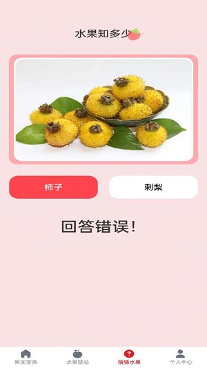 水果宝典图2