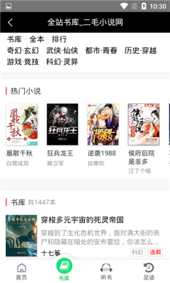 二毛小说图2