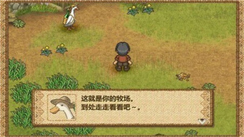 欢迎来到实力至上主义的教室中文版app图1