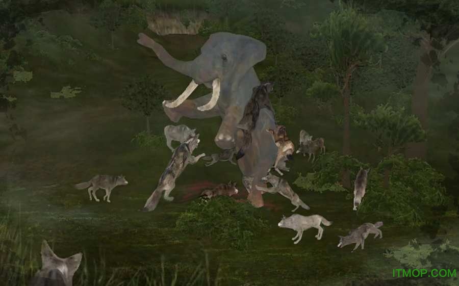 丛林法则中文手游Wild Animals Online图2