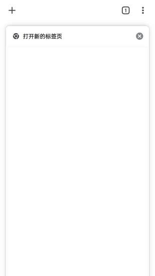 Chrome app最新版图3