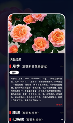 识花君植物识别图3