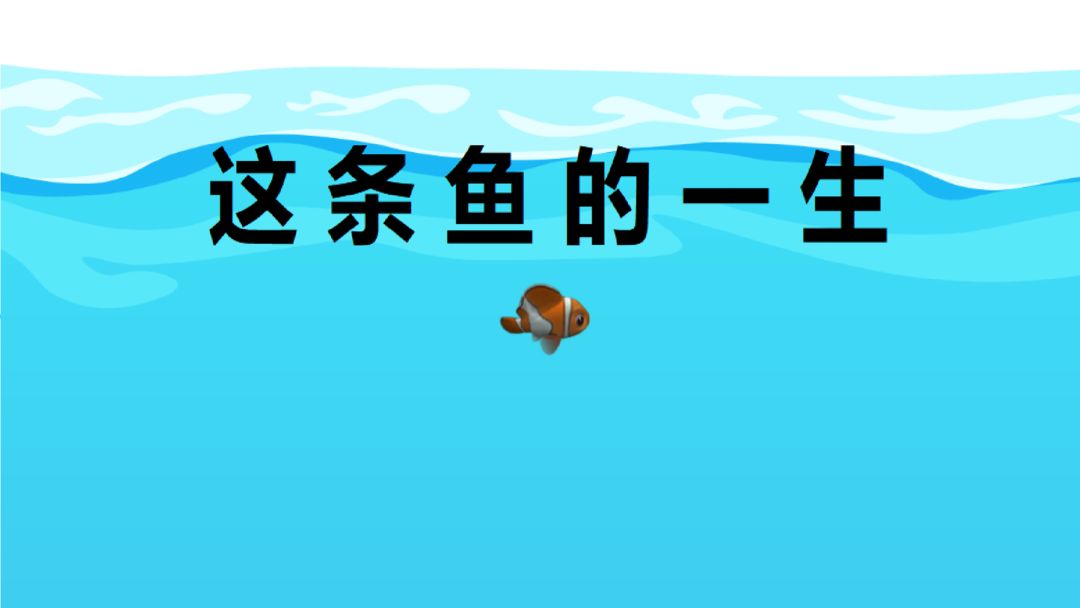这条鱼的一生图1