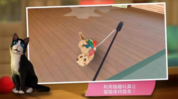 猫咪旅店图4
