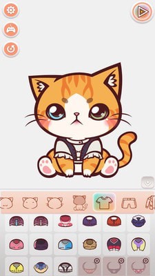 猫咪时尚之星图4