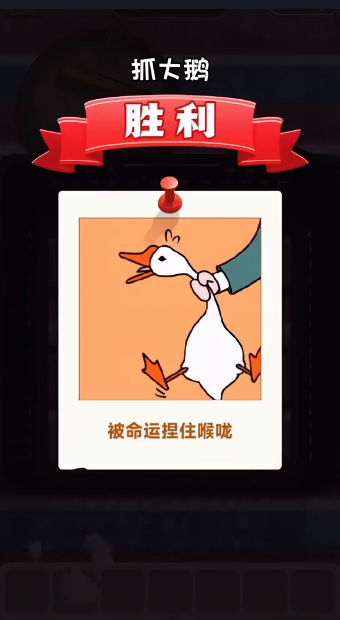 抓大鹅图5