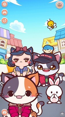 猫咪时尚之星图3