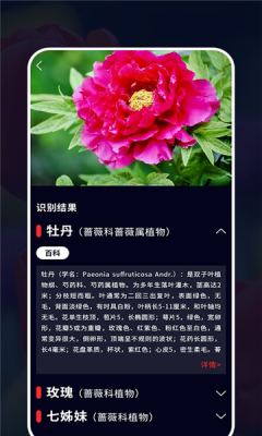 识花君植物识别