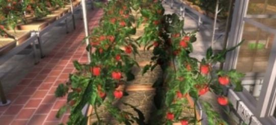 农民的追求安卓版本官方安卓版图3