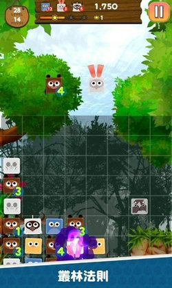 动物消除图4