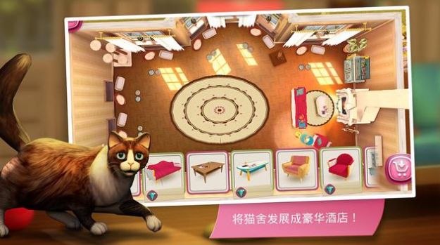 猫咪旅店图2