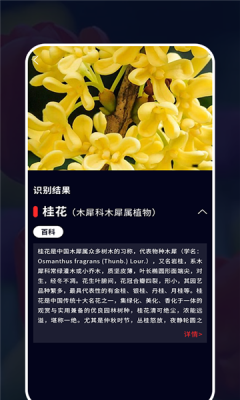 识花君植物识别图2