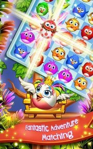 鸟流行狂 最新版