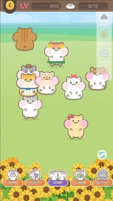 仓鼠城图2