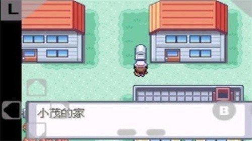 口袋妖怪:火红·叶绿 口袋妖怪:火红·叶绿