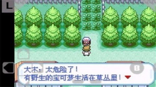 口袋妖怪：火红&middot;叶绿图3