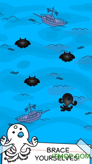 章鱼的进化中文版图1