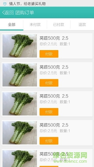 团迷图3