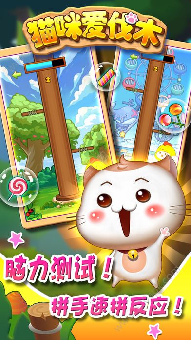 猫咪爱伐木图4