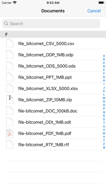 BitComet比特彗星手机版app图2