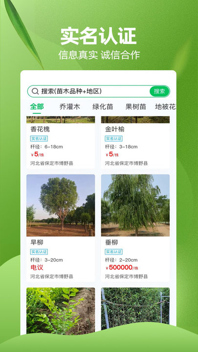苗木交易中心图4
