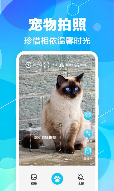 猫语翻译pet图2