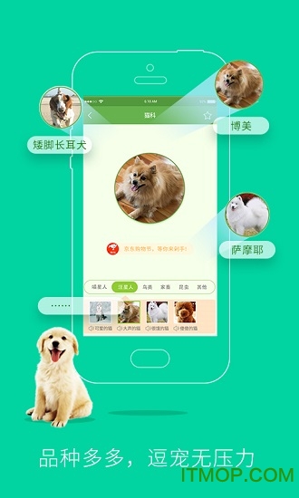 人狗人猫交流器图2