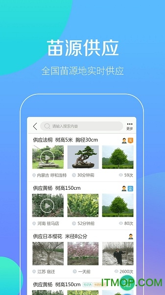 点花木图3