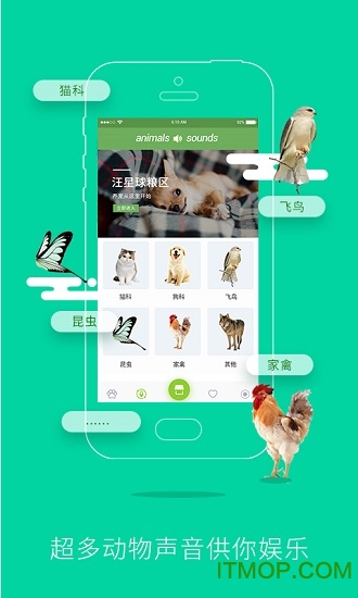 人狗人猫交流器图1