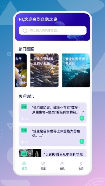 海来了图1