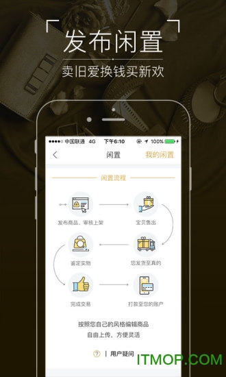 真的图1