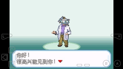 口袋妖怪xy中文版图3