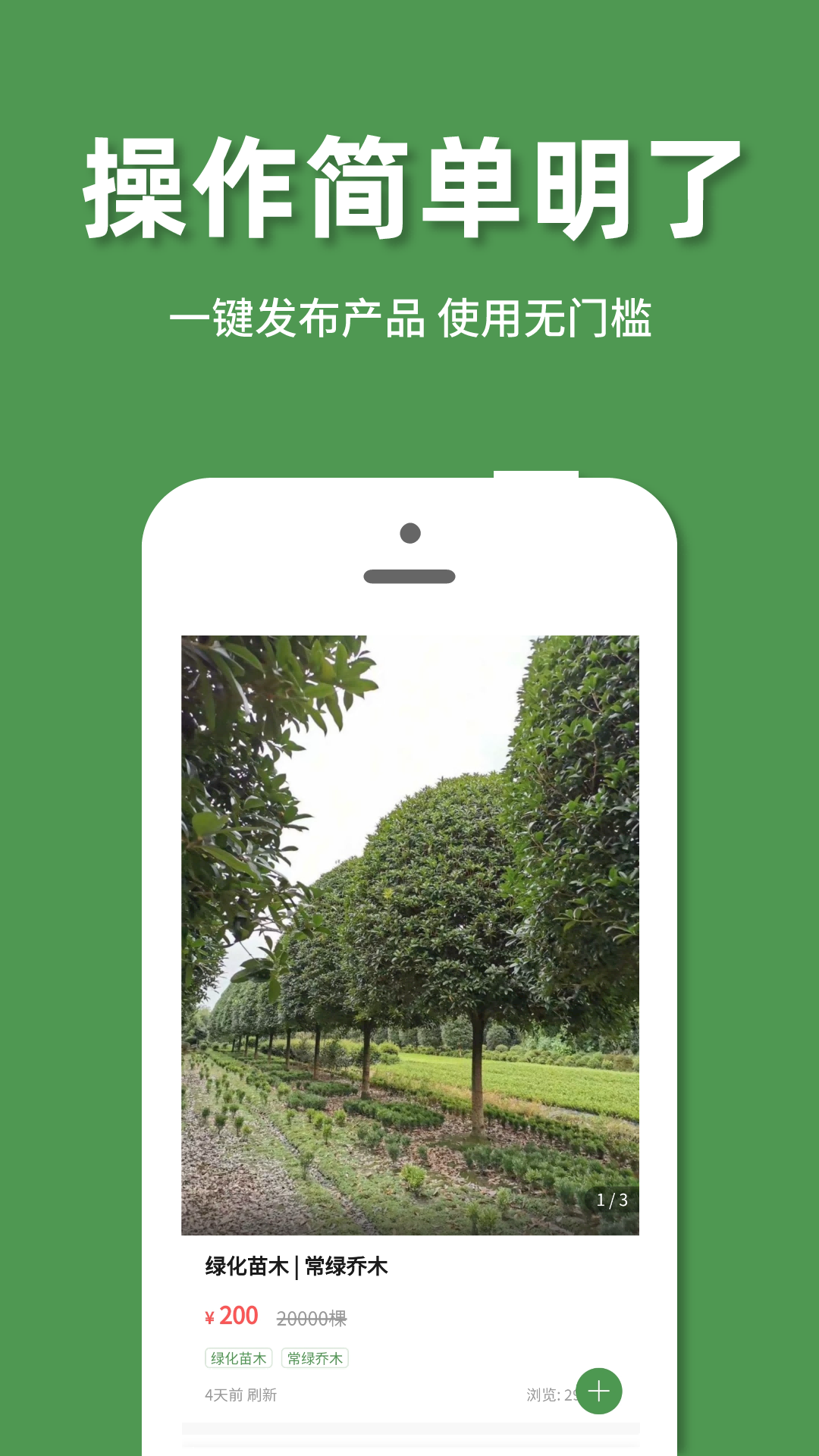 好苗木图3