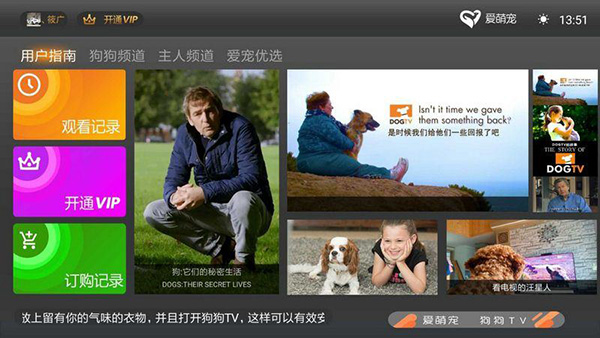 狗狗TV图2