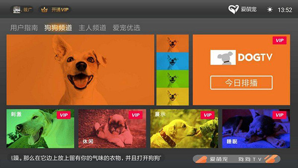狗狗TV 狗狗TV
